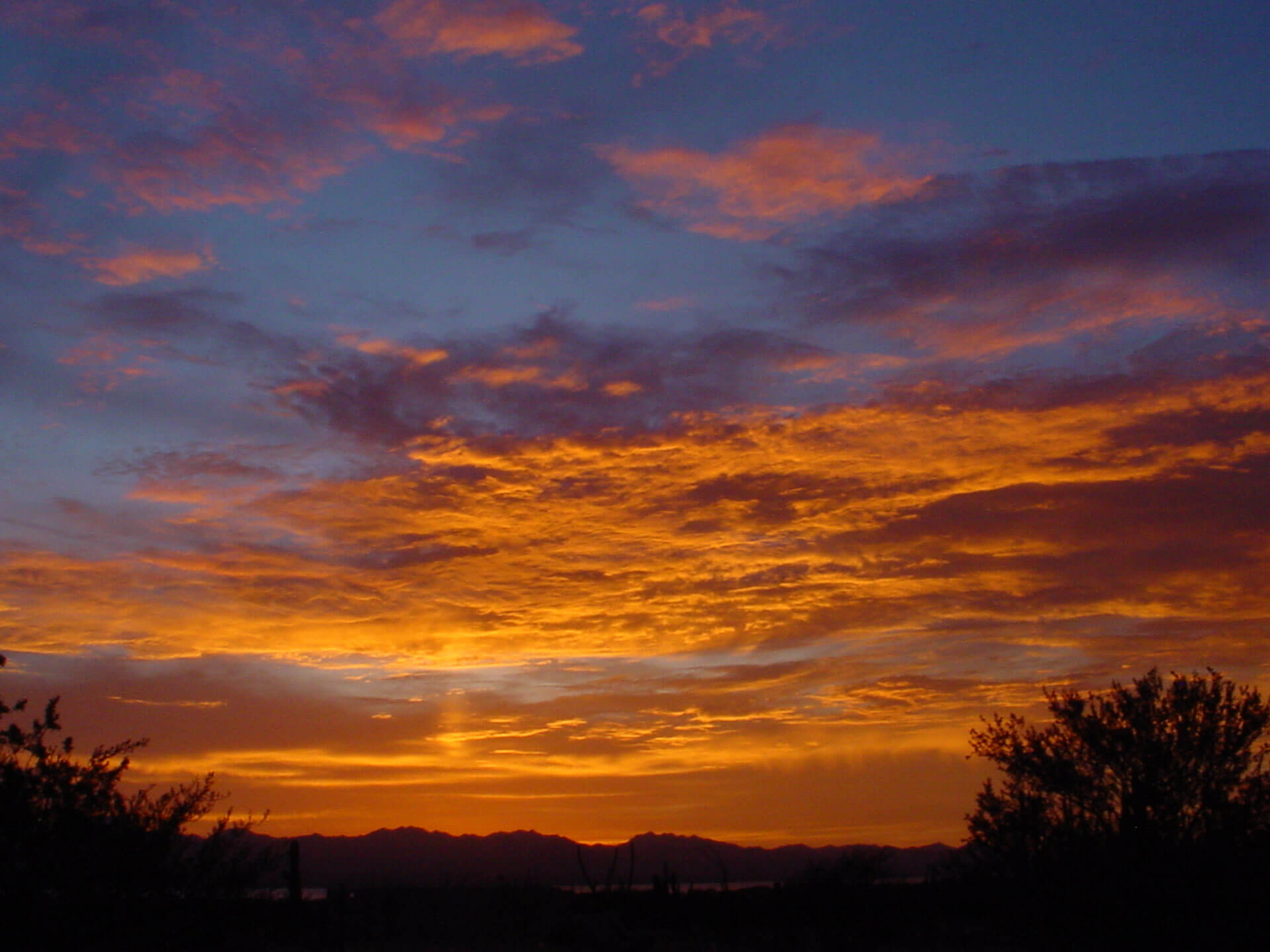 artesanías comcaac, punta chueca, sonora